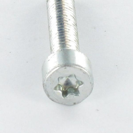 1 x Tornillo autorroscante cabeza cilíndrica M5X10 TORX T25 Acero cincado blanco