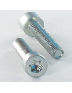 Tornillo autorroscante cabeza cilíndrica M4X12 TORX T20...