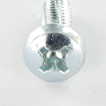 1 x Tornillo autorroscante cabeza abovedada ancha PHILLIPS 6X16 Acero cincado blanco