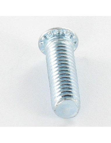 1 x Tornillo para remachar M8X25 Acero cincado...