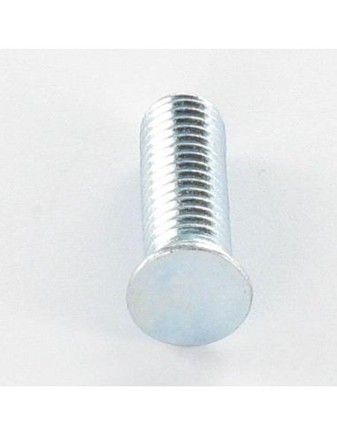 1 x Tornillo para remachar M6X30 Acero cincado...