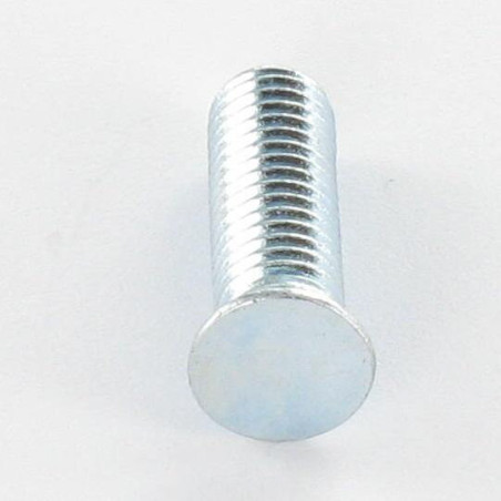 1 x Tornillo para remachar M6X20 Acero cincado blanco