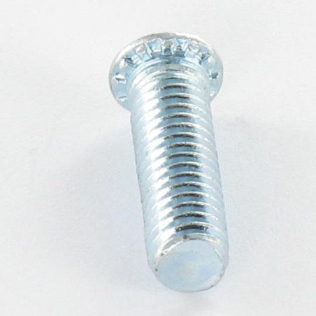 1 x Tornillo para remachar M6X20 Acero cincado blanco