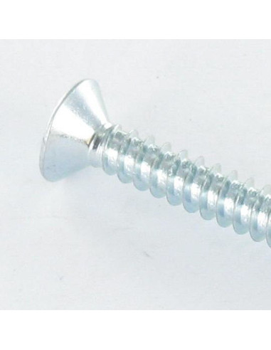 1 x Tornillo autoperforante cabeza...