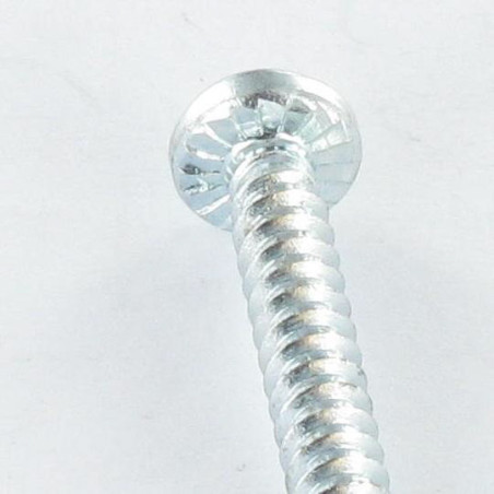 1 x Tornillo autoperforante cabeza cilíndrica abombada phillips 3.5X22 SQ1/ phillips 2 Acero cincado blanco