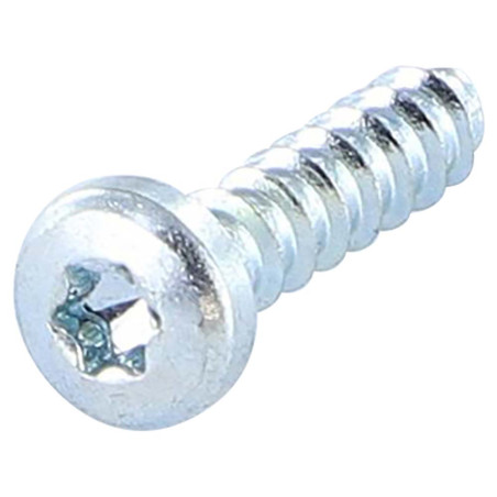Tornillo PVC poelier cabeza redonda ancha